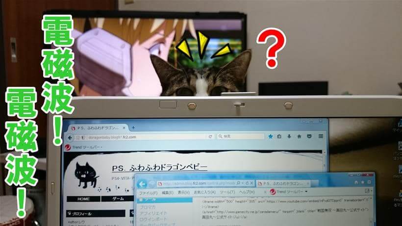 電磁波が発生するパソコンに近づき顔を出す愛猫ミミ